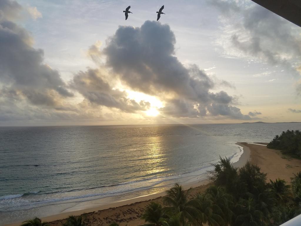 Beach Front Apartment In Luquillo Dış mekan fotoğraf